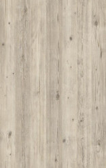 Kaindl K4434 AT Cult Pine Arctic