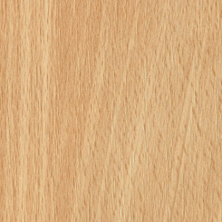 Krono D 391 PR Buche Hell