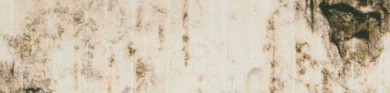 PP 1381 DESIGNO 823U Birke Hell