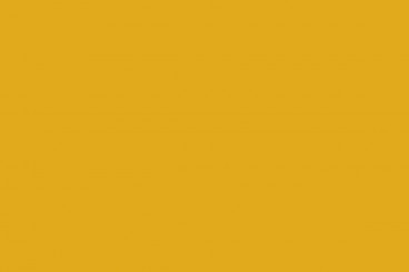 Zweihorn Novacolor Wigranit WNC/gelborange 