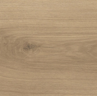 Laminatboden Tritty 100 TC GV, Eiche Emilia puro auth. 4V - Laminatboden Tritty 100 Top Connect, Gran Via Eiche Emilia puro auth. soft 4V, 
5 Stück/Paket = 2,68 qm, 
39 Pakete/Palette = 104,52 qm, 
538769