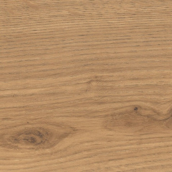 Laminatboden Tritty 100 TC, LD Alpineiche natur auth. - Laminatboden Tritty 100 Top Connect, Landhausdiele Alpineiche natur auth. matt, 
Nutzungsklasse 23/32, 
8 Stück/Paket = 1,98 qm, 
52 Pakete/Palette = 102,93 qm, 
542069