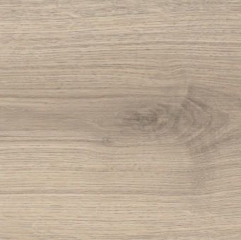 Stecksockelleiste Laminat Eiche samtgrau - Stecksockelleiste Laminat
Eiche Emilia samtgrau, MDF, 410765
 | 2