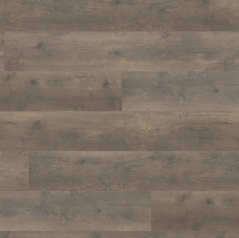 Laminatboden Tritty 100 TC GV, Eiche Bergamo carbon 4V - Laminatboden Tritty 100 Top Connect, Gran Via Eiche Bergamo carbon auth. soft 4V, 
5 Stück/Paket = 2,68 qm, 
39 Pakete/Palette = 104,52 qm, 
538767 | 2
