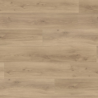 Laminatboden Tritty 100 TC GV, Eiche Emilia puro auth. 4V - Laminatboden Tritty 100 Top Connect, Gran Via Eiche Emilia puro auth. soft 4V, 
5 Stück/Paket = 2,68 qm, 
39 Pakete/Palette = 104,52 qm, 
538769 | 2