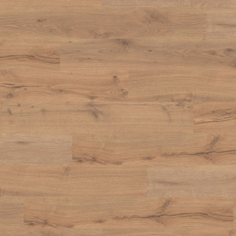 Laminatboden Tritty 100 TC, LD Alpineiche natur auth. - Laminatboden Tritty 100 Top Connect, Landhausdiele Alpineiche natur auth. matt, 
Nutzungsklasse 23/32, 
8 Stück/Paket = 1,98 qm, 
52 Pakete/Palette = 102,93 qm, 
542069 | 2